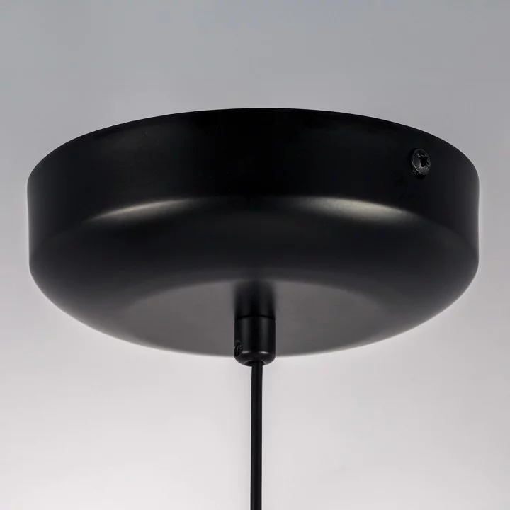 Подвесной светильник Lightstar Genova 610106 12_LS_610106.webp big