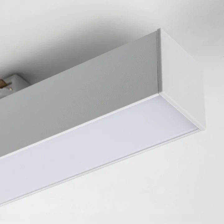 Накладной светильник Lightstar Lilla 202036 3_LS_202036.webp big