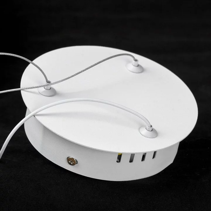 Подвесной светильник Lussole Crook LSP-7363 4_LSP-7363.webp big