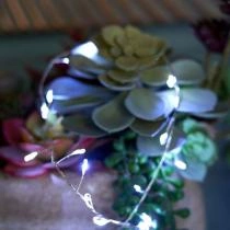 Гирлянда Нить Feron CL584 51448 5_FE_51448.webp small