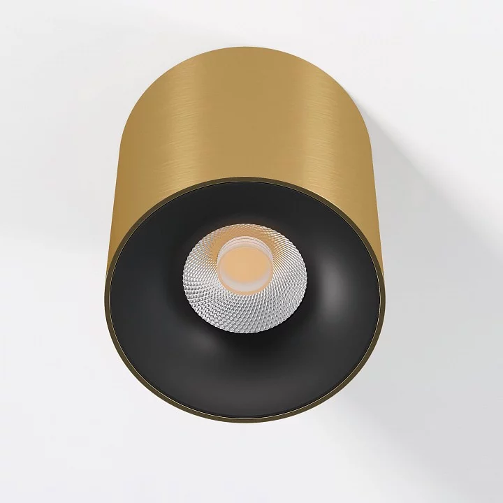 Накладной светильник Elektrostandard Primo 25116/LED 1_ELK_a069413.webp big