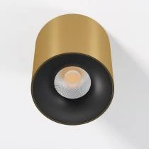 Накладной светильник Elektrostandard Primo 25116/LED 1_ELK_a069413.webp small