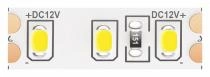 Лента светодиодная Maytoni Led strip 10109
