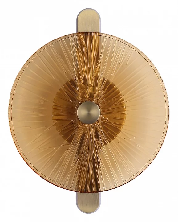Накладной светильник ST-Luce WASI SL6141.311.01 0_SL6141.311.01.webp big