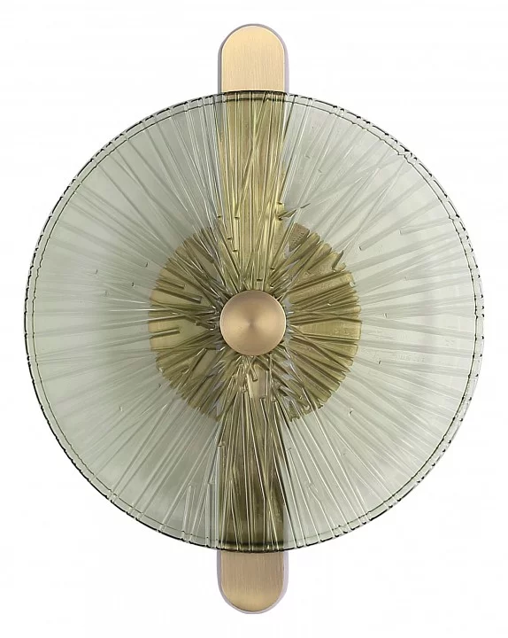 Накладной светильник ST-Luce WASI SL6141.321.01 0_SL6141.321.01.webp big