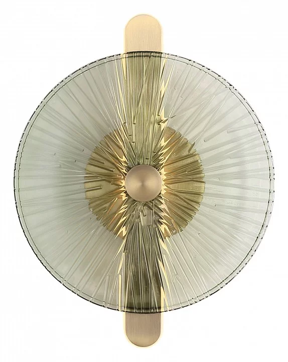 Накладной светильник ST-Luce WASI SL6141.321.01 1_SL6141.321.01.webp big