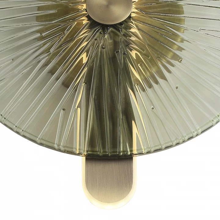 Накладной светильник ST-Luce WASI SL6141.321.01 3_SL6141.321.01.webp big
