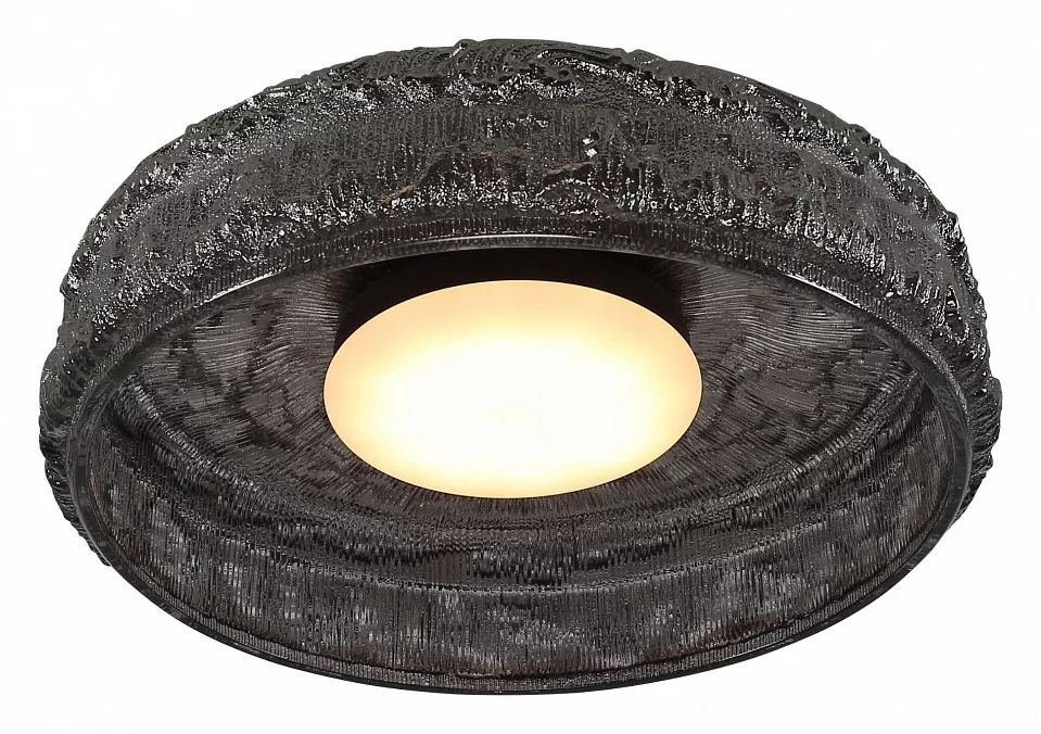 Накладной светильник ST-Luce ANTIKE SL6143.412.01 3_SL6143.412.01.webp big