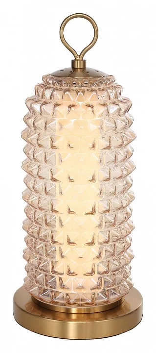 Настольная лампа декоративная ST-Luce SAGUARO SL6144.304.01 1_SL6144.304.01.webp big