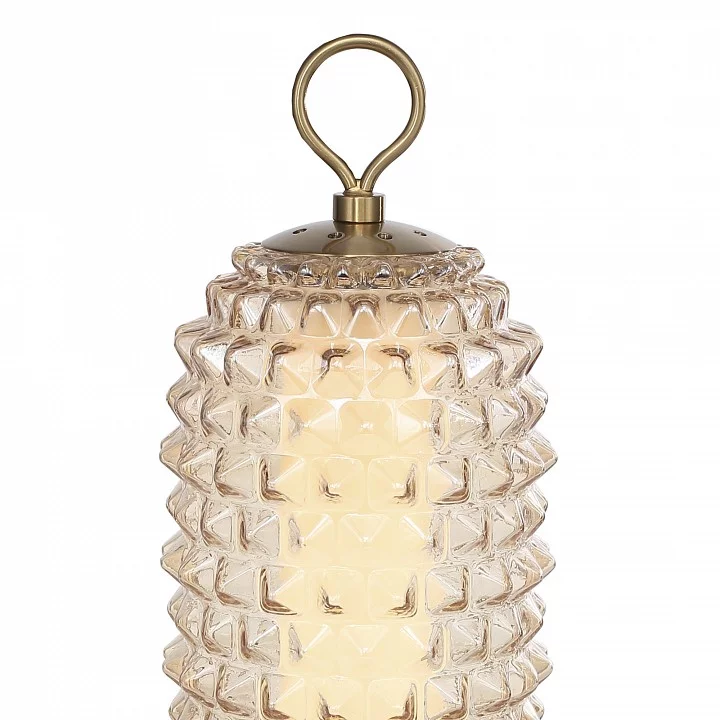 Настольная лампа декоративная ST-Luce SAGUARO SL6144.304.01 3_SL6144.304.01.webp big