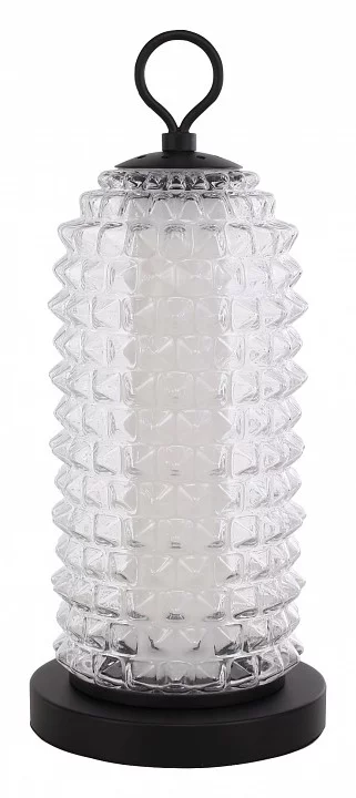 Настольная лампа декоративная ST-Luce SAGUARO SL6144.404.01 0_SL6144.404.01.webp big