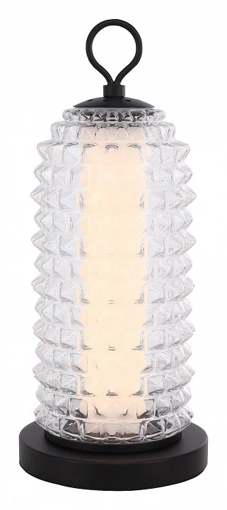 Настольная лампа декоративная ST-Luce SAGUARO SL6144.404.01 1_SL6144.404.01.webp big