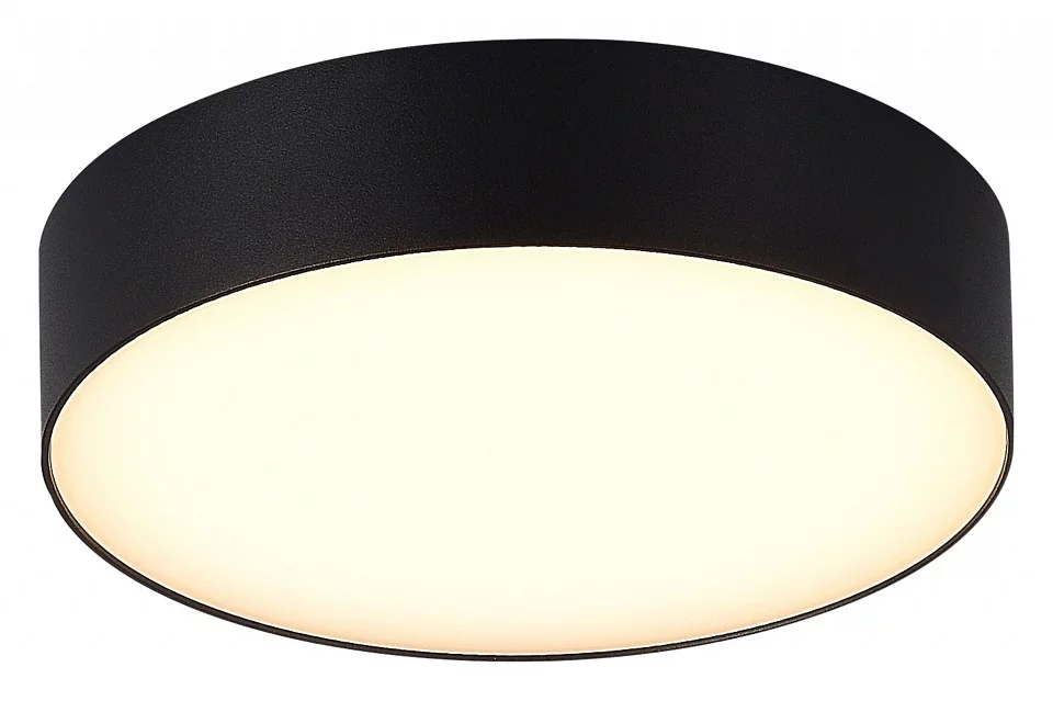 Накладной светильник ST-Luce Sun SL9518.402.01 1_SL9518.402.01.webp big