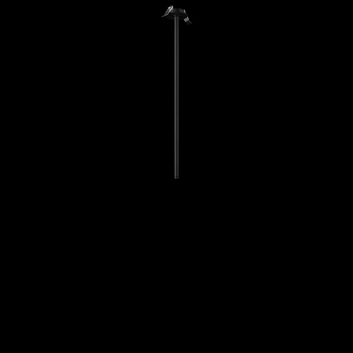 Встраиваемый светильник на штанге Loft it Cane 10359/600 Black 7_LF_10359_600_Black.webp big