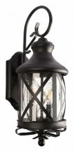 Светильник на штанге Loft it Ferrara 100020W