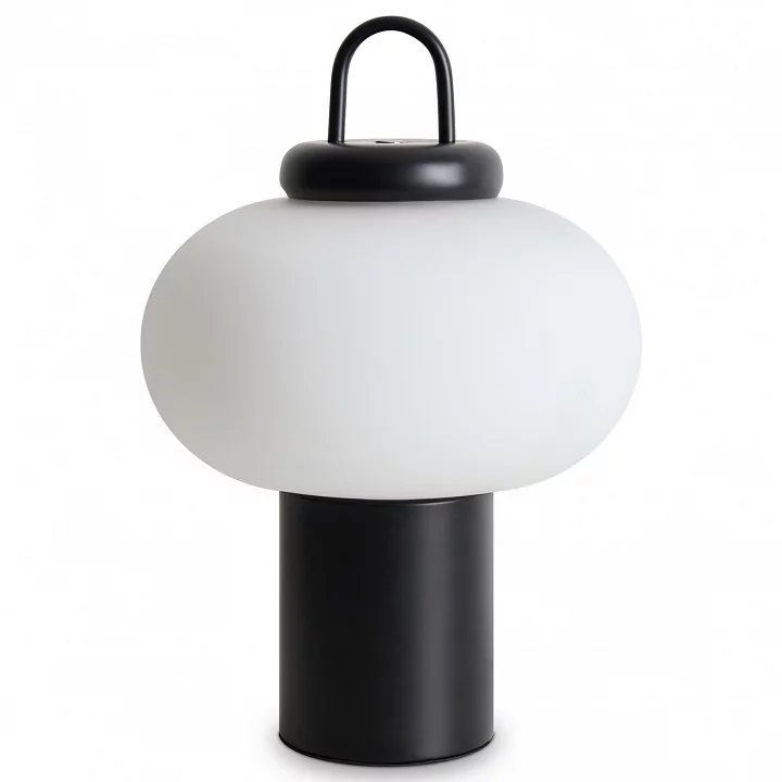 Настольная лампа декоративная Freya Take FR6175TL-L10B 0_MY_FR6175TL-L10B.webp big