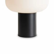 Настольная лампа декоративная Freya Take FR6175TL-L10B 5_MY_FR6175TL-L10B.webp small