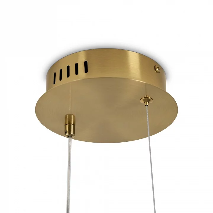 Подвесной светильник Freya Eclat FR6182PL-L14BS 4_MY_FR6182PL-L14BS.webp big