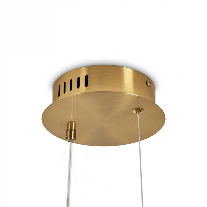 Подвесной светильник Freya Eclat FR6182PL-L14W1 4_MY_FR6182PL-L14W1.webp big