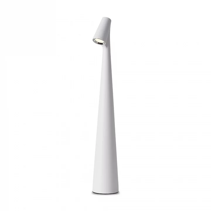 Настольная лампа декоративная Freya Clam FR6188TL-L3W 1_MY_FR6188TL-L3W.webp big