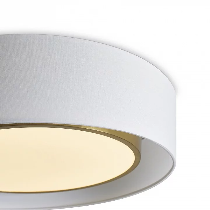 Накладной светильник Freya Cozy FR6170CL-L52BS 4_MY_FR6170CL-L52BS.webp big