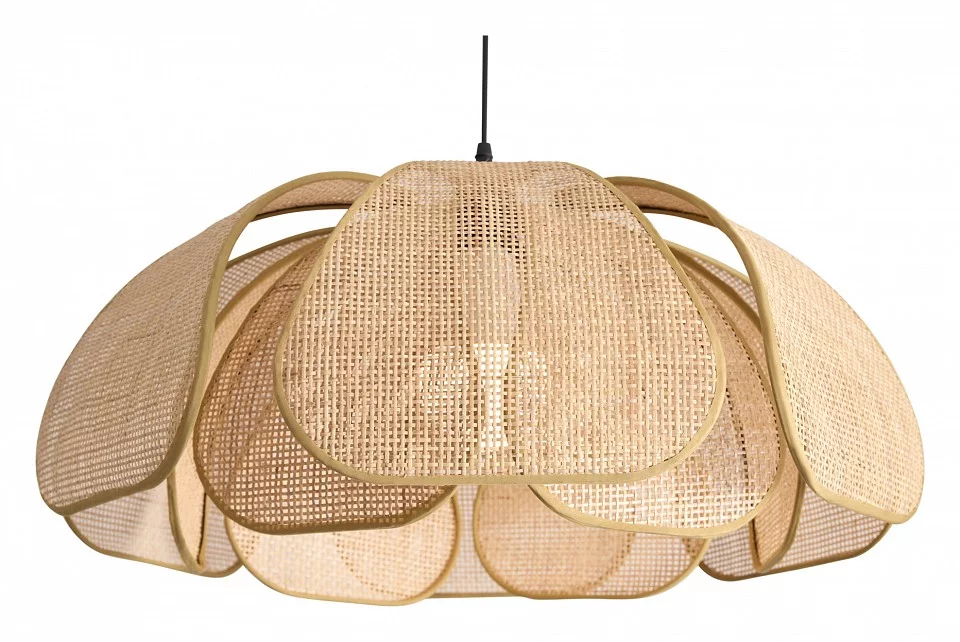 Подвесной светильник Freya Cocoon FR5529PL-01B 0_MY_FR5529PL-01B.webp big