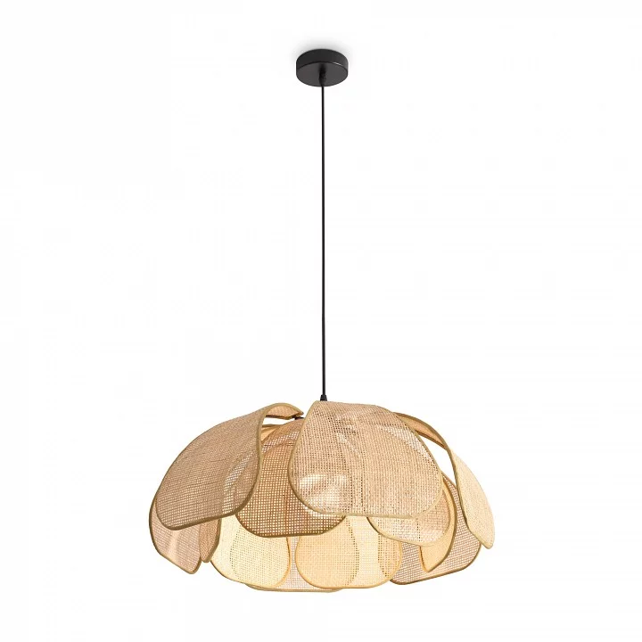 Подвесной светильник Freya Cocoon FR5529PL-01B 3_MY_FR5529PL-01B.webp big