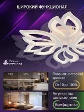Потолочная люстра Natali Kovaltseva FORTUNA LED LAMPS 81107/6C 5_KVL_44492.webp small