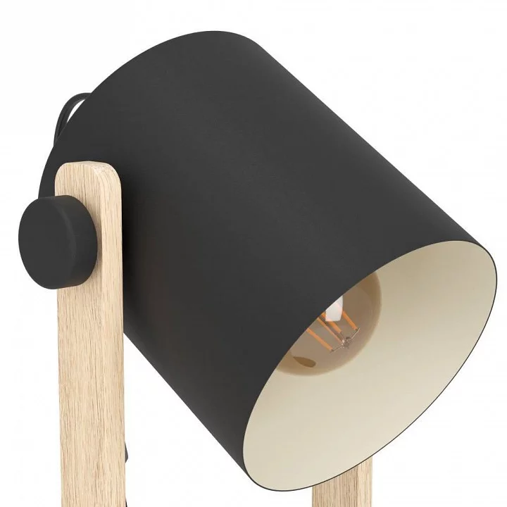 Настольная лампа декоративная Eglo ПРОМО HORNWOOD 43519 3_EG_43519.webp big