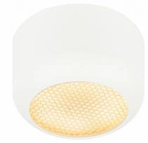 Накладной светильник Эра  OL56 WH 1_ER_B0061877.webp small