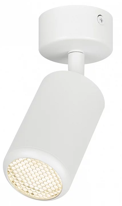 Спот Эра  OL55 WH 1_ER_B0061883.webp big