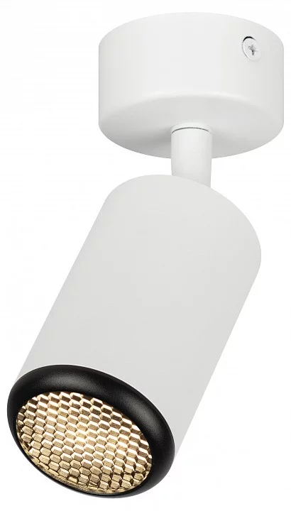 Спот Эра  OL55 WH/BK 1_ER_B0061888.webp big
