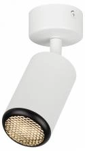 Спот Эра  OL55 WH/BK 1_ER_B0061888.webp small
