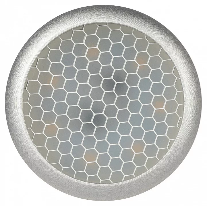 Спот Эра  OL55 WH/SL 3_ER_B0061890.webp big