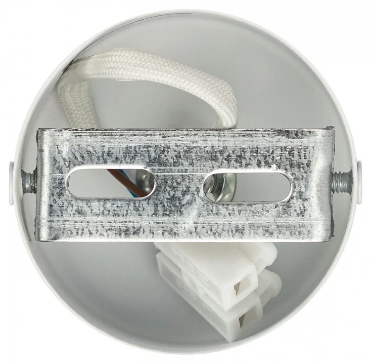 Спот Эра  OL55 WH/SL 6_ER_B0061890.webp big