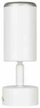Спот Эра  OL55 WH/SL 1_ER_B0061890.webp small