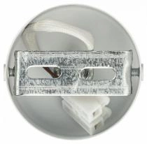 Спот Эра  OL55 WH/SL 6_ER_B0061890.webp small