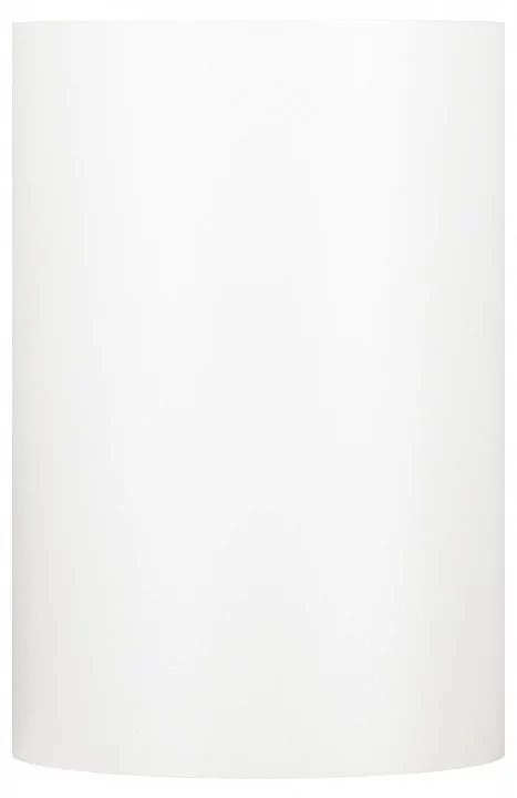 Накладной светильник Эра  OL57 WH 3_ER_B0066775.webp big