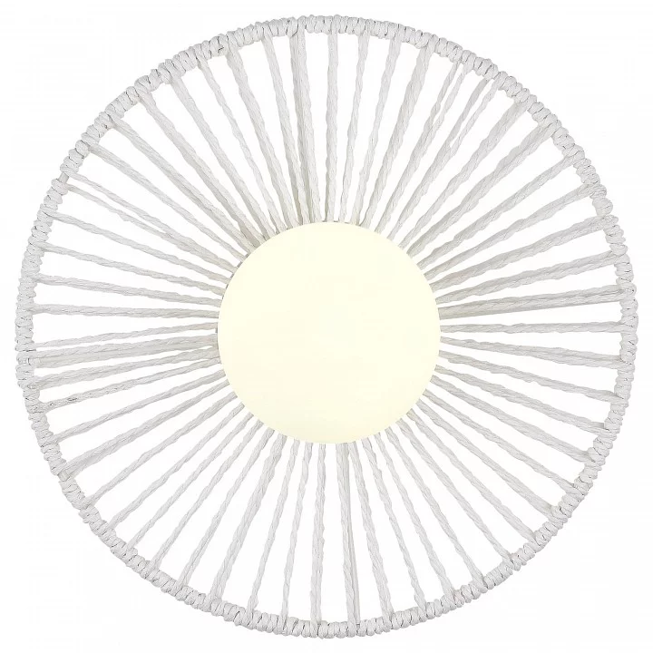 Накладной светильник EVOLUCE LOOM SLE6022-501-01 1_EVO_SLE6022-501-01.webp big