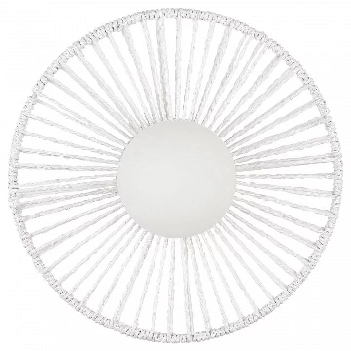 Накладной светильник EVOLUCE LOOM SLE6022-501-01 2_EVO_SLE6022-501-01.webp big