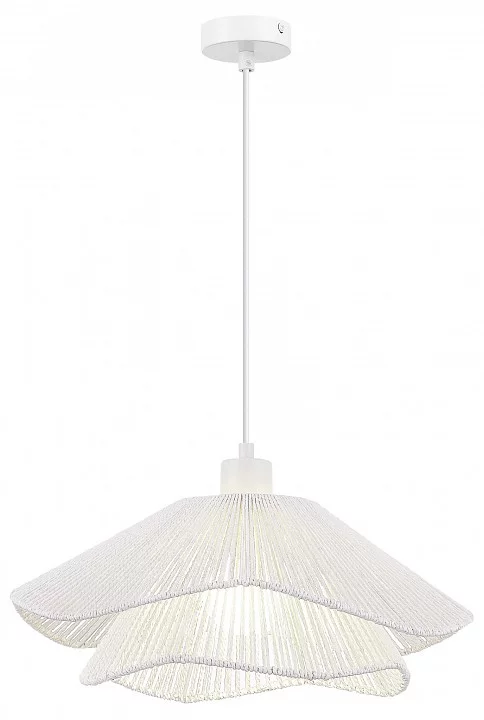 Подвесной светильник EVOLUCE VERVE SLE6023-503-01 1_EVO_SLE6023-503-01.webp big