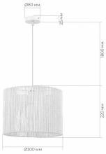 Подвесной светильник EVOLUCE ETTAN SLE6024-503-01 5_EVO_SLE6024-503-01.webp small