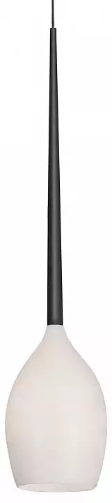 Подвесной светильник Lightstar Meta Duovo 807110 0_LS_807110.webp big