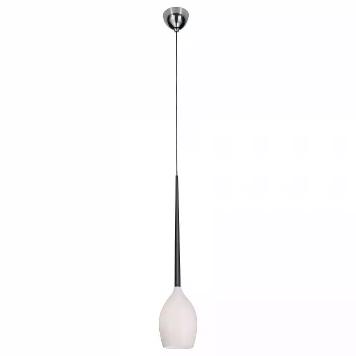 Подвесной светильник Lightstar Meta Duovo 807110 1_LS_807110.webp big