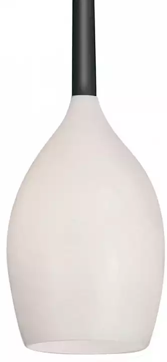 Подвесной светильник Lightstar Meta Duovo 807110 2_LS_807110.webp big