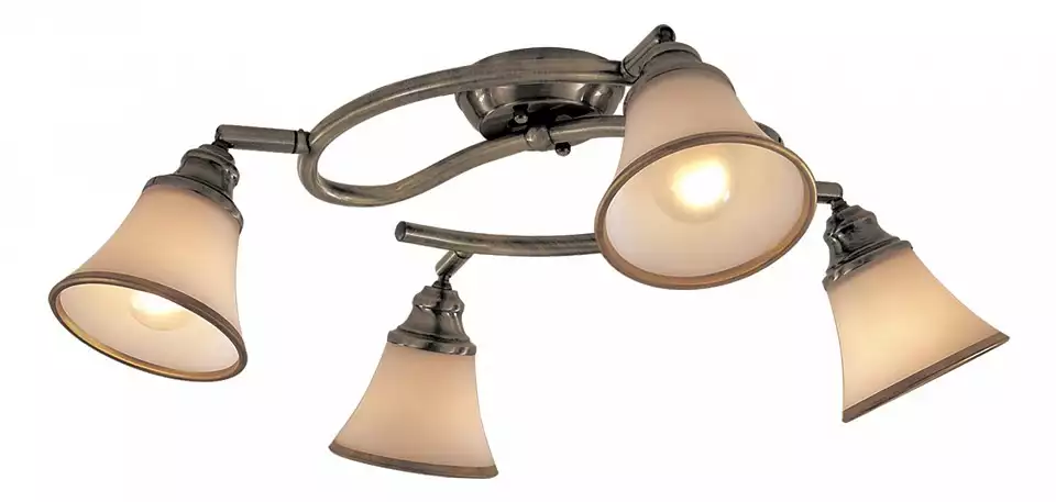 Спот Citilux Прованс CL511143 0_CL511143.webp big