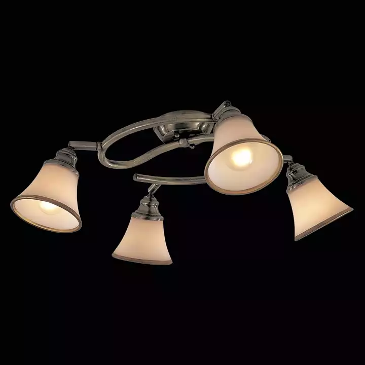 Спот Citilux Прованс CL511143 1_CL511143.webp big