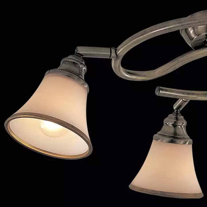 Спот Citilux Прованс CL511143 3_CL511143.webp big