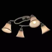 Спот Citilux Прованс CL511143 1_CL511143.webp small