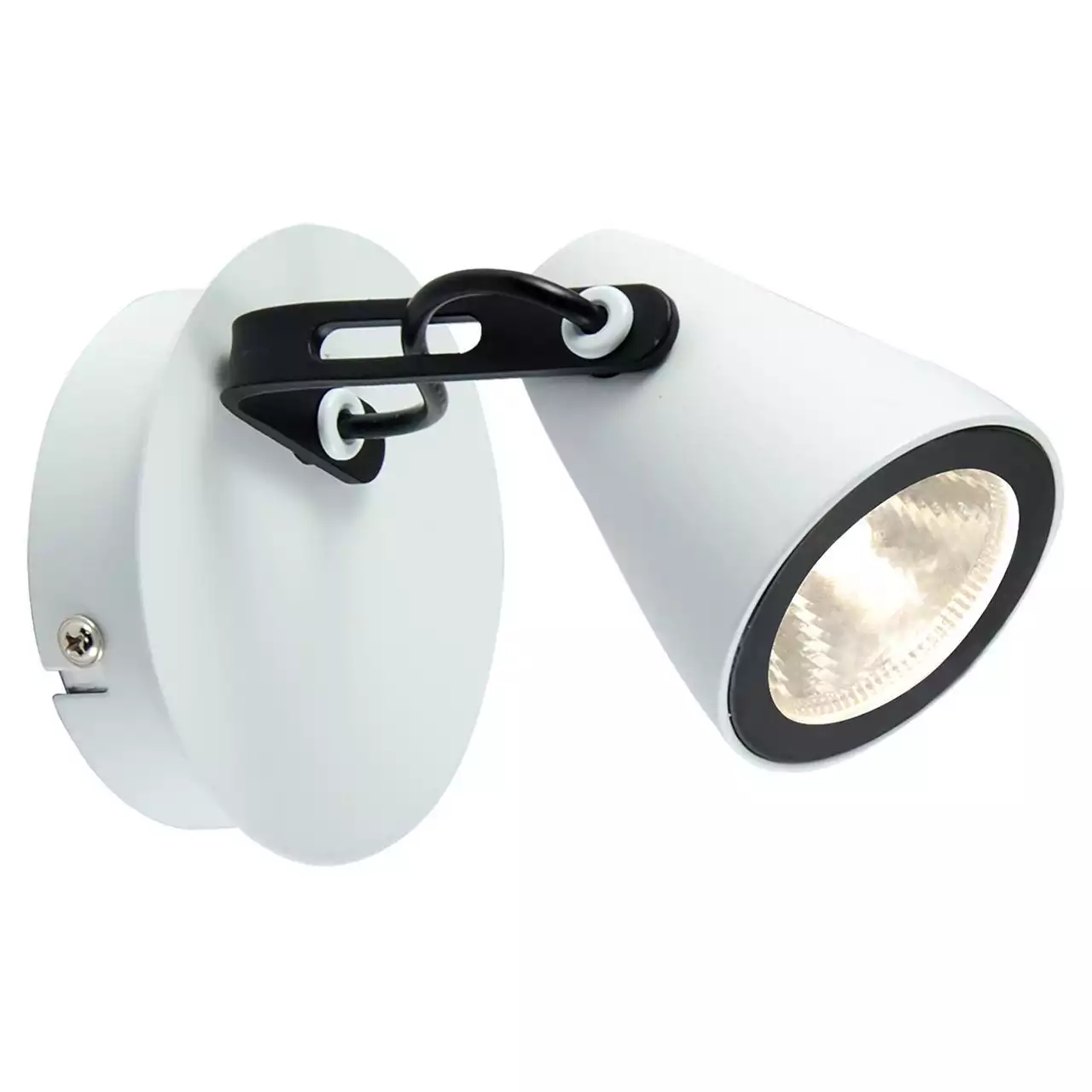Спот Lussole Loft LSN-4101-01 2056b1f7d8dbbcc59755d36538f22f7e.webp big